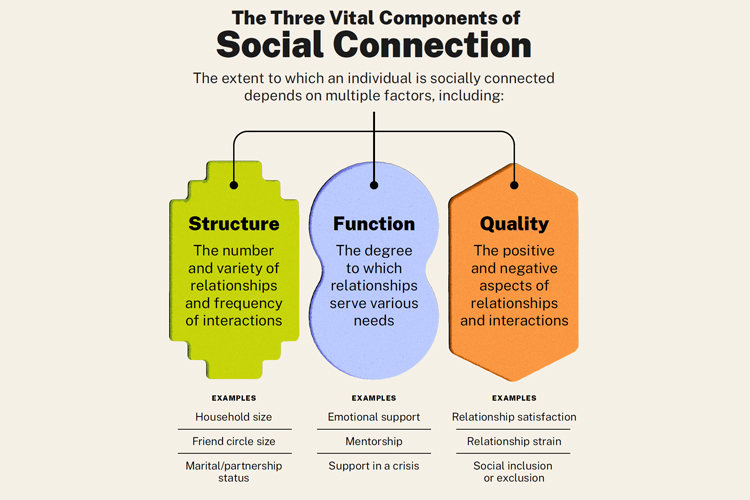 3 Vital Components of Social Connection