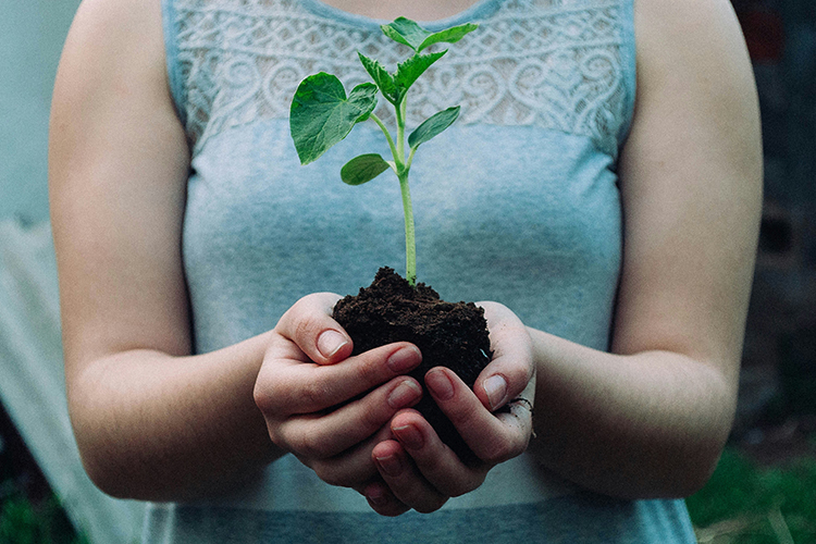 The Link Between Gender Equality and the Environment